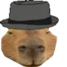 capyMLADY emote
