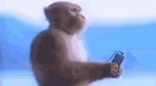 MyExistenceIsNothingButAGrainOfSandComparedToTheEntireScaleOfTheUniverse emote