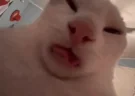 LIZUN emote