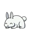 Bunny emote