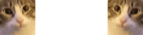 TwoCatsTryingToPlayWithAFireballButOhNoOneOfThemCouldntCatchTheFireball emote