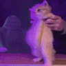 MVP emote