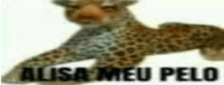 alisameupelo emote