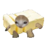 Buttercatrun emote