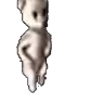 Perrito emote