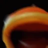fortnite emote