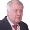 DIEGRUENEN emote