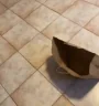 Hide emote