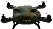 xdDrone emote