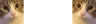 Meowa