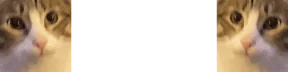 Meowa emote