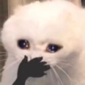 NOOO emote