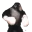 bitka