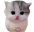 bubi