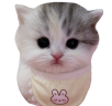 bubi emote