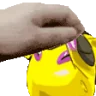 PETTHELILBRO emote