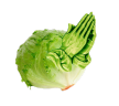 LettucePray emote