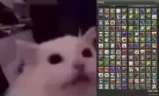 INVENTORY emote