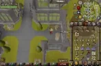 EntireFarmRun emote