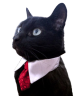 OfflineChat emote