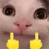 FUCAT emote