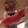 monkeyeatingawatermelonhedobehappy emote