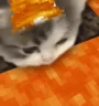 lava emote