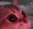 Catlook emote