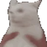 catShake emote