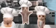 COOKING emote