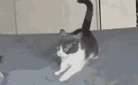 PTSD emote
