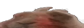 wideVIBEsaber emote