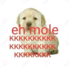 ehmole emote