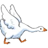 GooseChase emote