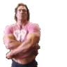 myhonestreaction emote