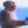 MonkeyListenin emote