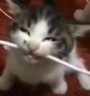 Cable emote