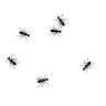 ANTS emote