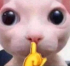 cichutko emote