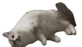 LIVESFROMBASED emote
