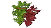 HerbChamp emote