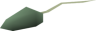 rat