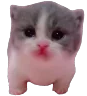 SCARED emote