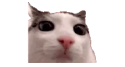 plinktosis emote