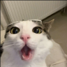pog emote