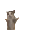 happy emote