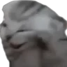 THEVOICES emote