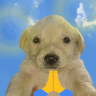 BLESSED emote