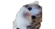 ermtosis emote