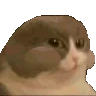 yummers emote